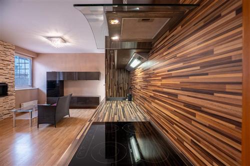 Obrázek projektuVelmi příjemný byt 1+kk (2+kk) s prostornou terasou a gar. stáním  v Praze 9 - Kyjích